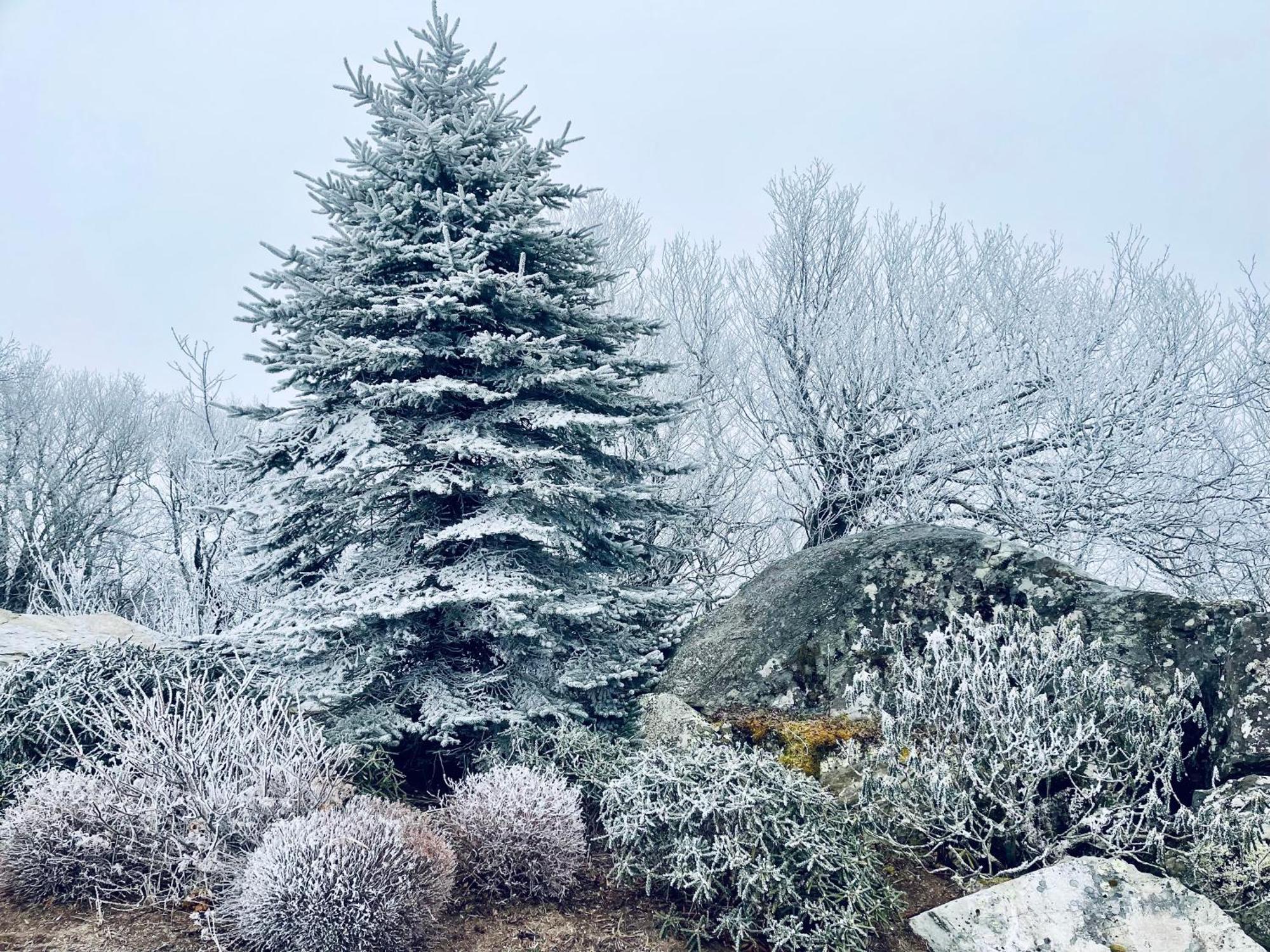 Bucket List Views Sugar Mountain Private Condo - 2Bed, 2Bath, Sleeps 6, Panoramic Views Of Mountains From Large Deck, Short Drive To Shopping, Restaurants, Cafes & Banner Elk Town エクステリア 写真